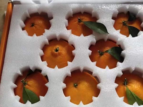 山東EPE珍珠棉的密度對其性能有什么影響